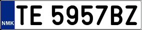 Trailer License Plate